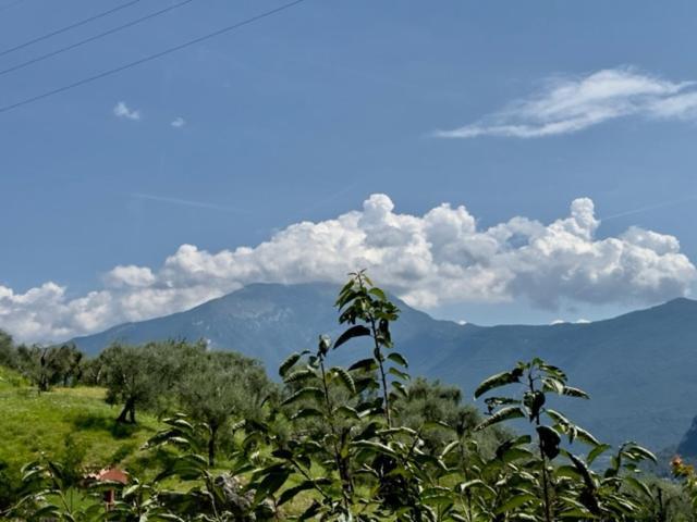 Gavazzo Nuova Alloggio Turistico Molu 아파트 외부 사진